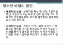 사회복지학과 사회문제론 _ 청소년 범죄와 비행에 대하여 PPT 6페이지