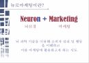 뉴로마케팅이란 뇌과학 뉴로마케팅의 원리 뇌의 구조 3페이지