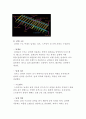 항공기 동체, 날개의 구조형식과 역할에 대하여 조사하시오. 6페이지