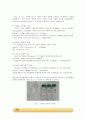 금나노와 은나노 입자의 합성 실험_결과레포트 [A+] 2페이지