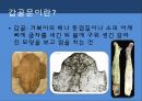 상나라의땅殷墟,중국의세계문화유산,은허란,은나라의역사,은허에서발견된유물,은허발견의역사적의의 14페이지