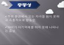 주의력 결핍,과잉행동 장애,ADHD,주의력 산만,충동성,학습장애,성격장애,성인ADHD 6페이지