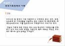 한국의가족정책,한국가족정책의이해,저출산,한부모가족정책,다문화가족정책,빈곤가족정책 5페이지