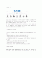 SCM 정의 구축방법 도입효과 분석 및 SCM 기업 도입사례분석과 SCM 도입 성공방안 제시 및 나의생각과 비평 3페이지