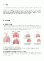 A+ 성인간호학실습 폐렴 케이스 A+ Pneumonia case 간호진단3 간호과정3 3페이지