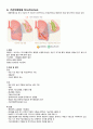 A+ 성인간호학실습 폐렴 케이스 A+ Pneumonia case 간호진단3 간호과정3 12페이지