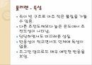 탄소의 결합구조,결합구조 다양성,탄소나노튜브,풀러렌,그래핀 6페이지