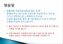 귀농 우수 설계서  15 12페이지