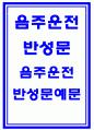 음주운전반성문 음주운전반성문예문 음주운전반성문 작성방법 음주운전 반성문 샘플 음주운전 반성문 선처 음주운전 반성문 음주운전 반성문 예시문 1페이지