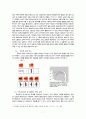 멀티미디어 교육자료 활용방안 연구 7페이지