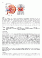 급성신우신염 간호 Study(APN) 4페이지