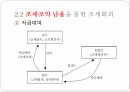 국제조세회피,절세,탈세,조세회피,국제조세회피의 유형,조세피난처,조세조약남용,국제조세회피 방지책 13페이지