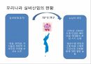 실버산업,실버산업의필요성,실버산업현황,선진국의실버산업사례 8페이지