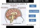 인체의부위,인체의구성,인체의계통별구조와기능 14페이지