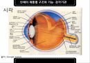 인체의부위,인체의구성,인체의계통별구조와기능 38페이지