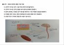 운동을 통한 신경계의 변화,신경의 일반적 이해구조와 기능,뉴런의 구조,감각 운동신경계의 통합 조절 작용 18페이지