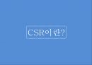 CSR 중요성과 지속가능경영(CSM)의 관계,CSR이란,기업의사회적책임,The Body Shop 3페이지