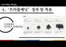 CSR마케팅사례분석,CSR이란,‘트리플래닛’ 어플 소개,‘트리플래닛’분석 10페이지