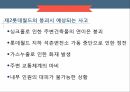 국민안전처의 개요,국민안전처의 문제점,국민안전처의 조직도,마스터플랜의 소개,재난관리표준체계 21페이지