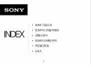 SONY기업소개,SONY의디지털카메라,SONY의경쟁사분석,SONY의마케팅전략 2페이지