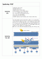 반도체 PVD 공정의 종류와 원리 6페이지