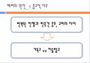 911 테러와 미국의 국내정치,알카에다,911테러,알카에다조직,911 테러의 원인과 피해,미국내의여론,음모론설 14페이지