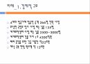 911 테러와 미국의 국내정치,알카에다,911테러,알카에다조직,911 테러의 원인과 피해,미국내의여론,음모론설 18페이지