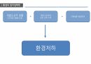 국제 개발 협력,환경과 발전,인구 감소,삼림 벌채,사막화,환경 정치경제학,재생가능 에너지 47페이지