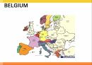 유럽의수도,브뤼셀,언어권,지방색,유럽의회,브뤼셀과스트라스부르 2페이지