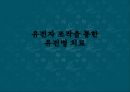 유전자 조작,유전자 조작 식품,유전병 치료,유전자 조작의 방법,유전자 조작의 역사 25페이지