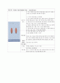 DM 케이스 스터디 (간호진단 2개) 교수님께 극찬받은 A+자료입니다! 28페이지