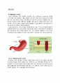 위암 케이스 스터디 A+자료 (문헌고찰, 간호사정 포함 간호진단 2개까지 모두 상세히 기술함) 1페이지