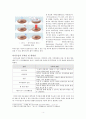 (A+ 학점 자료)사회학 강의 레포트 - 라식수술과 정치사회학 4페이지