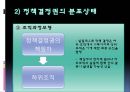 행정수도이전정책을 앨리슨모형에 적용한 연구 PPT 10페이지