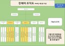 [경영조직론] 대한항공, 아시아나항공 및 LCC항공 조직구조 분석 18페이지