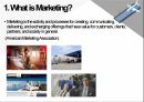 Marketing strategies for effective market segmentation of airlines 3페이지