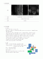 추간판 탈출증 환자를 대상으로 한 척추후궁절제술 사례 연구 10페이지