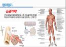 통증생리,통즈으이정의,글곡격계,신경계,말초신경계,감각수용기 5페이지