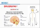 통증생리,통즈으이정의,글곡격계,신경계,말초신경계,감각수용기 22페이지