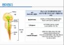 통증생리,통즈으이정의,글곡격계,신경계,말초신경계,감각수용기 31페이지