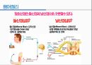 통증생리,통즈으이정의,글곡격계,신경계,말초신경계,감각수용기 36페이지