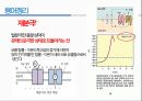 통증생리,통즈으이정의,글곡격계,신경계,말초신경계,감각수용기 62페이지