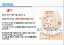 통증생리,통즈으이정의,글곡격계,신경계,말초신경계,감각수용기 70페이지