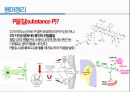 통증생리,통즈으이정의,글곡격계,신경계,말초신경계,감각수용기 72페이지