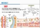 통증생리,통즈으이정의,글곡격계,신경계,말초신경계,감각수용기 74페이지