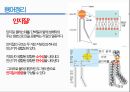 통증생리,통즈으이정의,글곡격계,신경계,말초신경계,감각수용기 76페이지