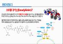 통증생리,통즈으이정의,글곡격계,신경계,말초신경계,감각수용기 78페이지