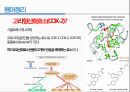 통증생리,통즈으이정의,글곡격계,신경계,말초신경계,감각수용기 80페이지