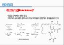 통증생리,통즈으이정의,글곡격계,신경계,말초신경계,감각수용기 91페이지