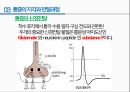 통증의지각과전달과정,통증의신경전달,통증신경회로,연관통증,근막통증후근,척수의신경로,오름조절,통증인지,전기치료 2페이지